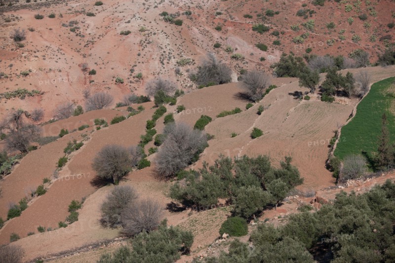 Marrakech,  pied du Haut Atlas