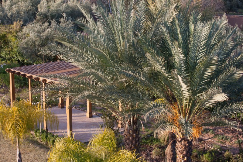 Marrakech,  Zaraba