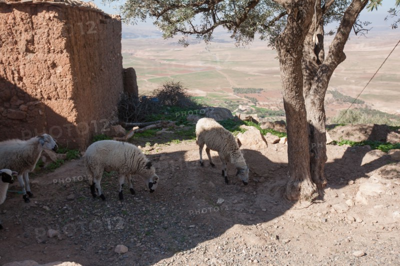 Marrakech,  pied du Haut Atlas
