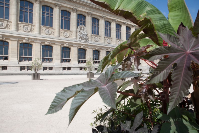 Jardin Des Plantes, Grande galerie