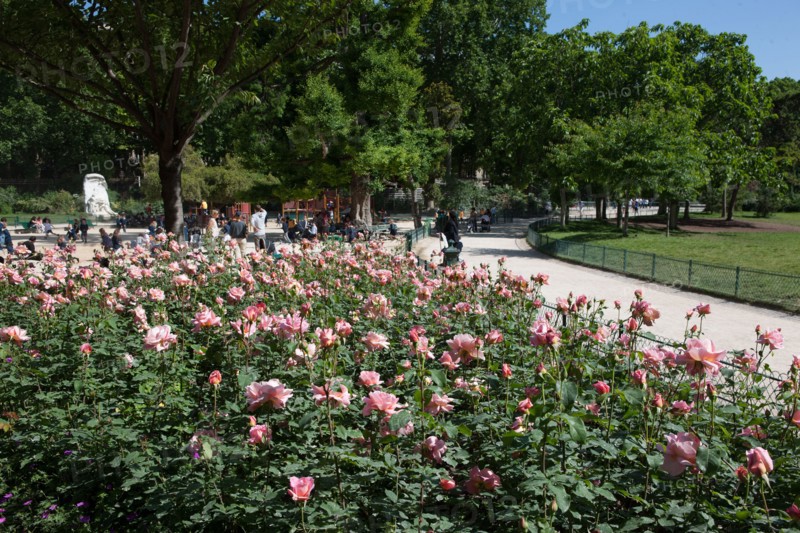 Parc Monceau, Massif De Rosiers