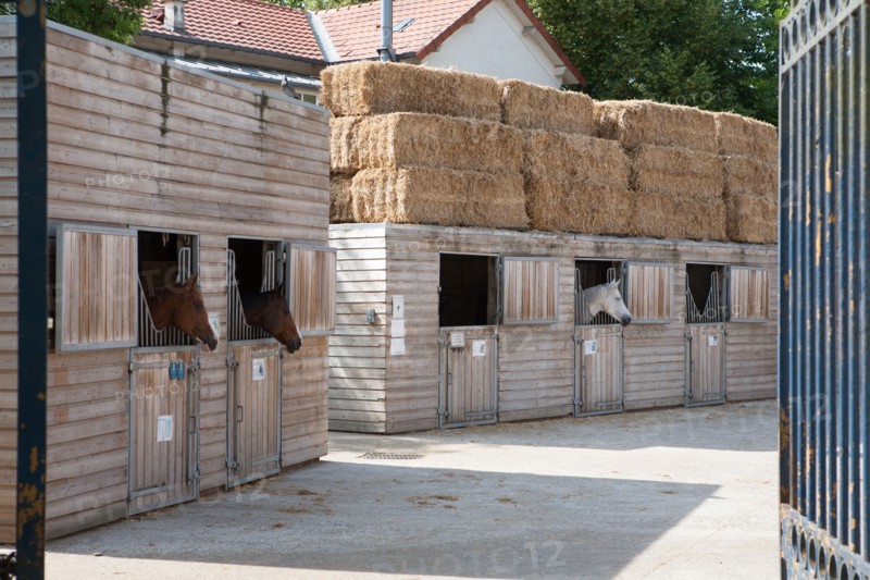 Bois De Vincennes, Centre Equestre De La Cartoucherie