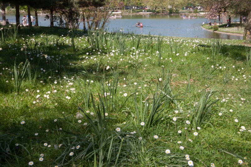 Bois De Vincennes, Lac Daumesnil