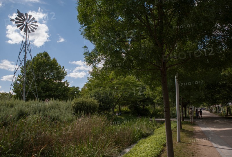 Parc Martin Luther King, Projet Clichy Batignolles