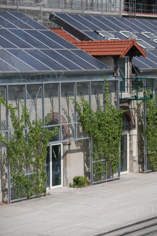 Parc Martin Luther King, Projet Clichy Batignolles