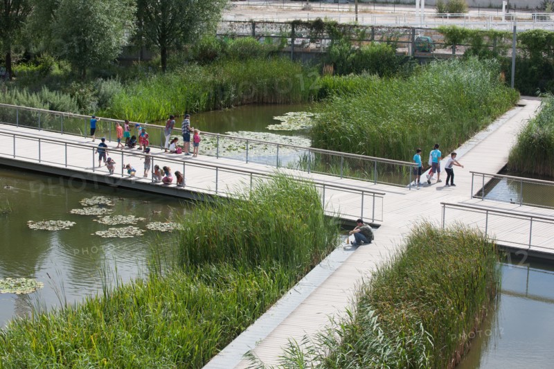Parc Martin Luther King, Projet Clichy Batignolles