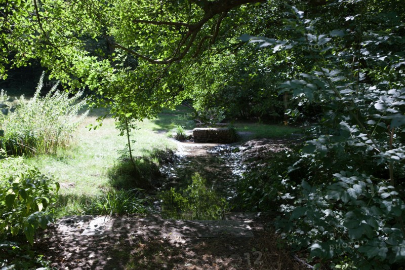 Forêt De Meudon, bois et nature autour de L'étang de Chalais