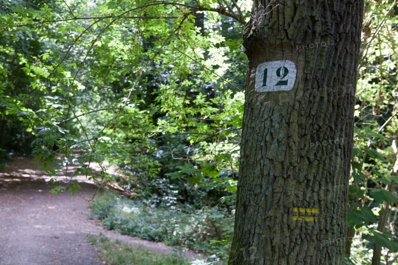 Forêt De Meudon, bois et nature autour de L'étang de Trivaux
