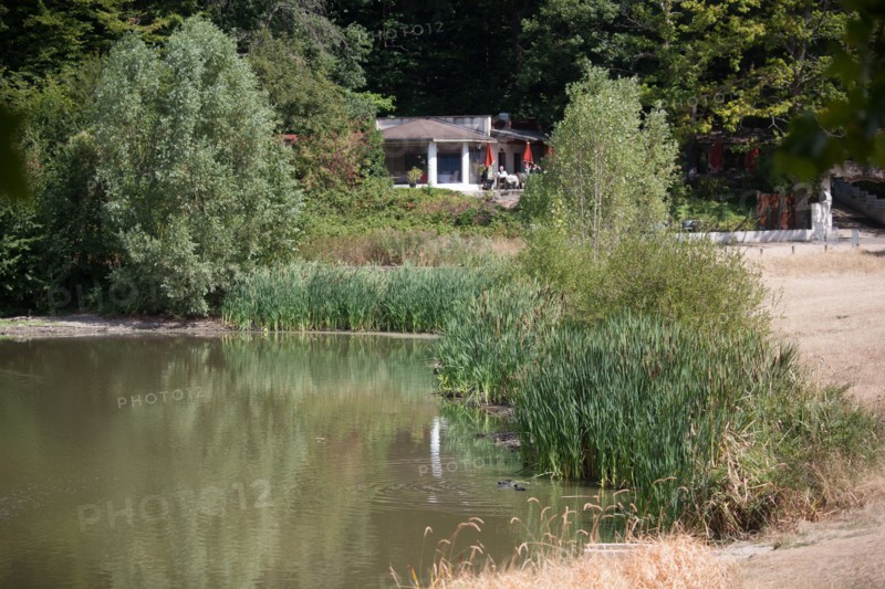 Forêt De Meudon, Bois Et Nature Autour De L'Etang De Meudon
