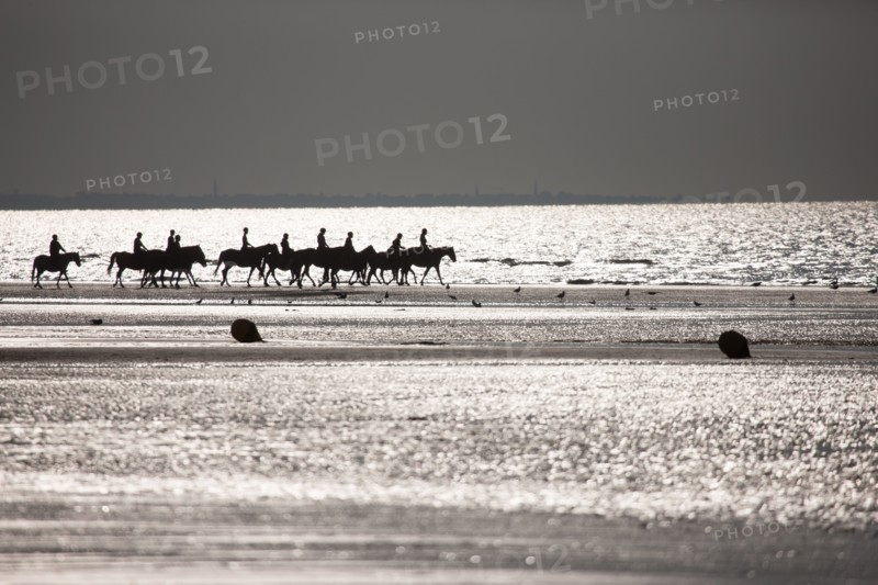 Cabourg, Plage