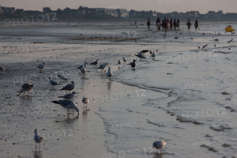 Cabourg, Plage