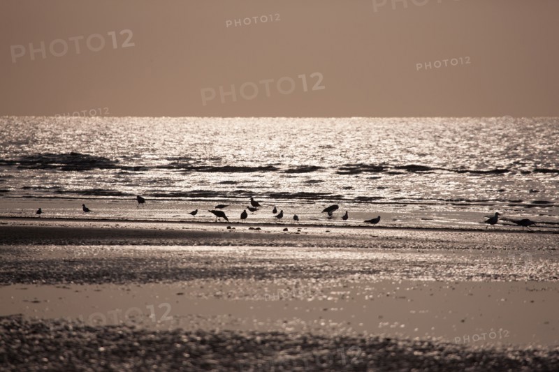 Cabourg, Plage
