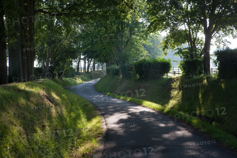 Touques, Chemin