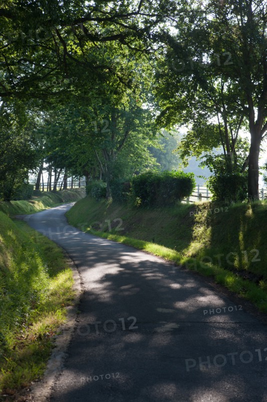 Touques, Chemin