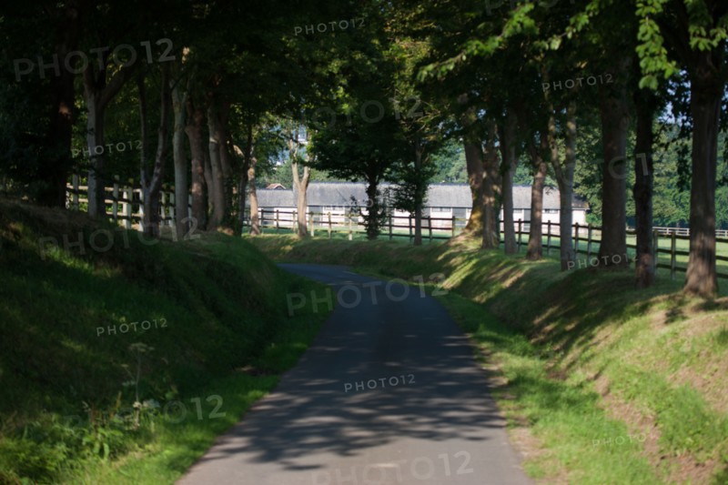 Touques, Chemin