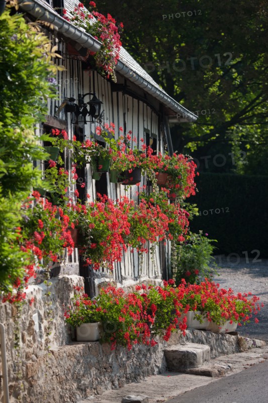 Touques, Chemin De La Coquetiere