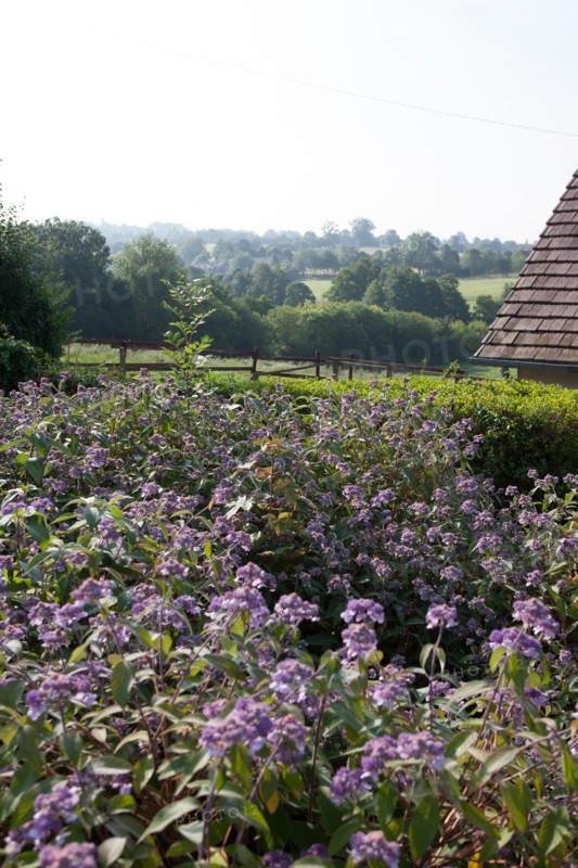 Touques, Chemin De La Coquetiere