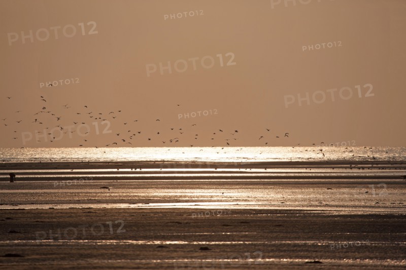 Houlgate, Plage