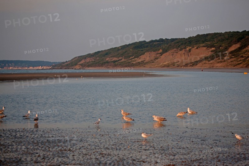 Houlgate, Plage