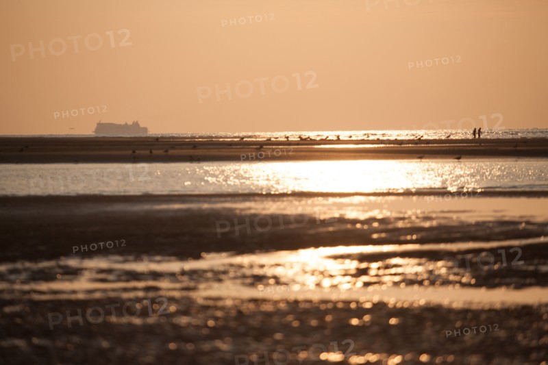 Houlgate, Plage