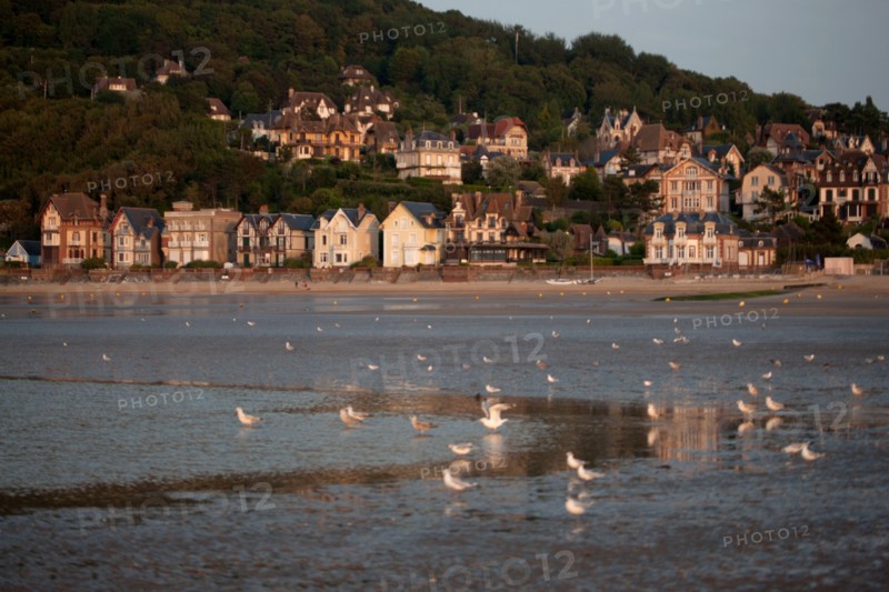 Houlgate, Plage