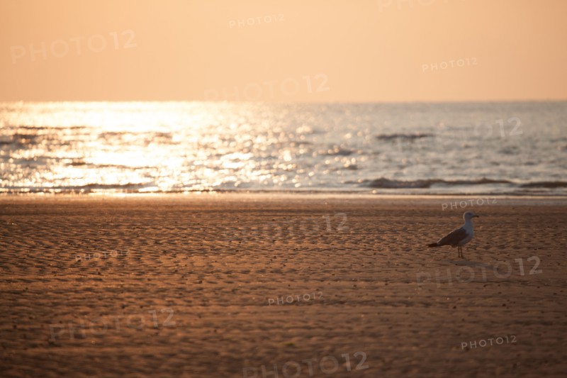 Houlgate, Plage