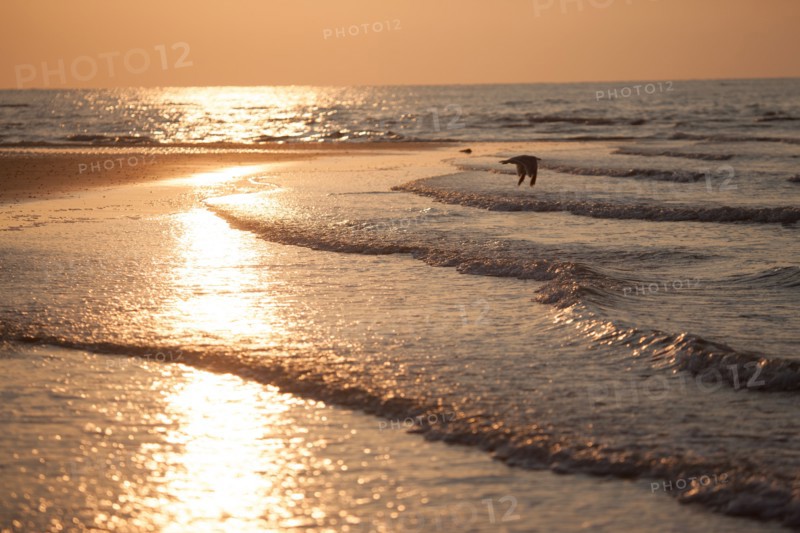 Houlgate, Plage