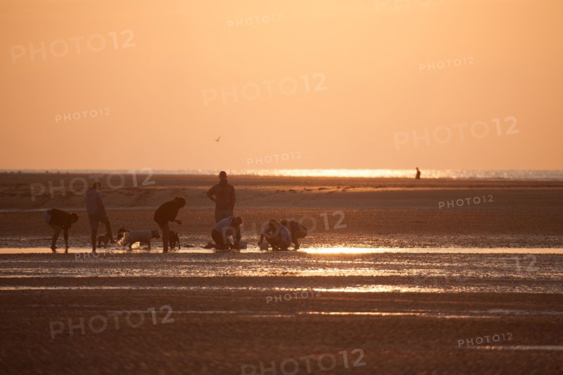 Houlgate, Plage