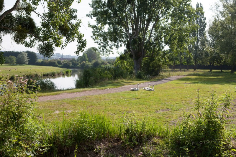 Saint Arnoult,