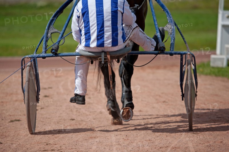 Lisieux, Hippodrome de la Trésorerie