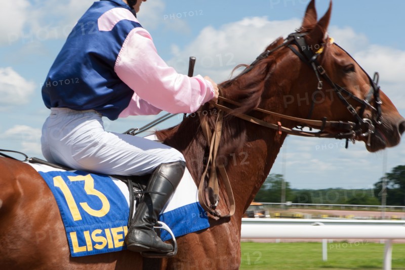 Lisieux, Hippodrome de la Trésorerie