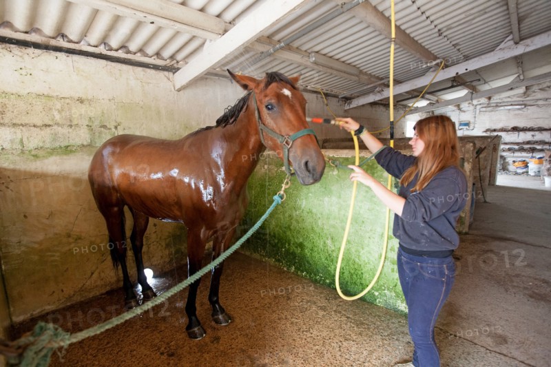 Haras De Pitz, Ecurie Danover