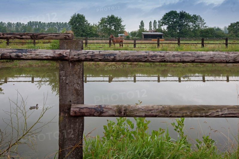 Haras De Pitz, Ecurie Danover