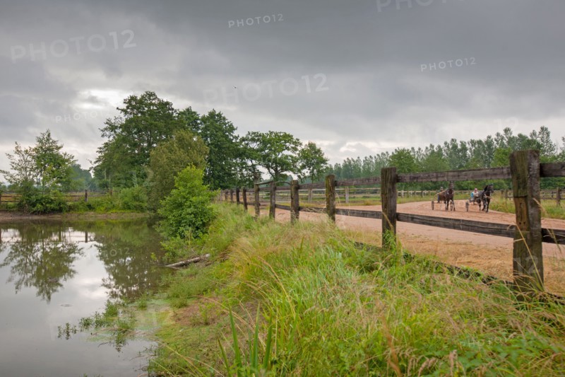 Haras De Pitz, Ecurie Danover