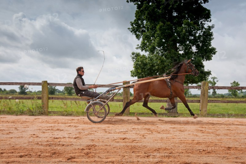 Haras De Pitz, Ecurie Danover