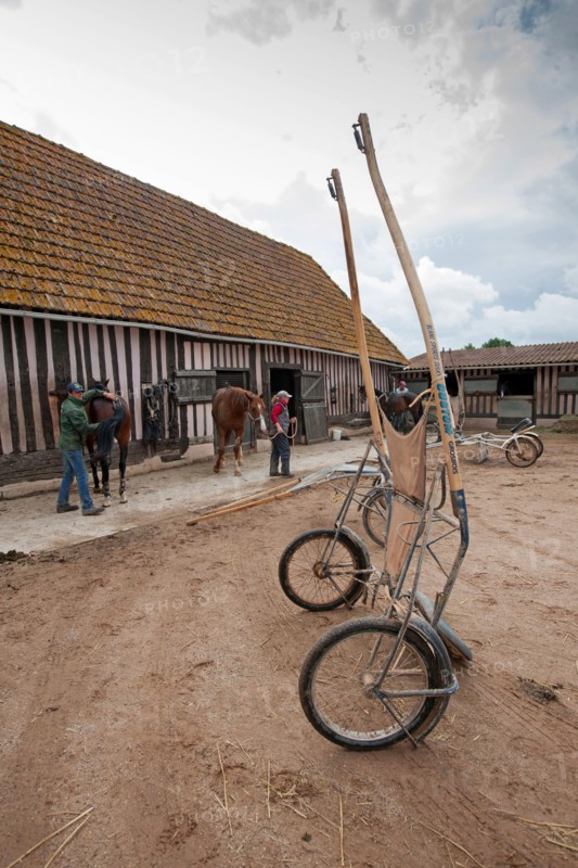 Haras De Pitz, Ecurie Danover