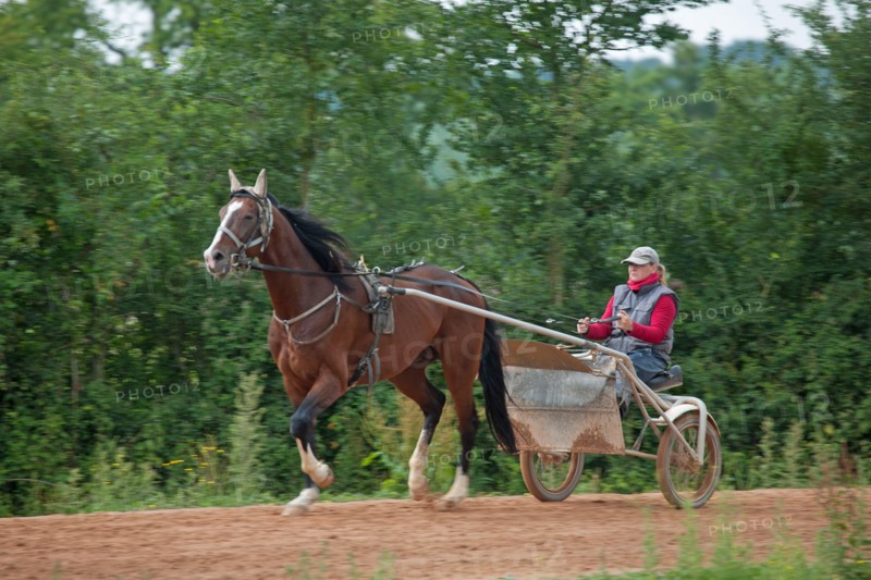 Haras De Pitz, Ecurie Danover