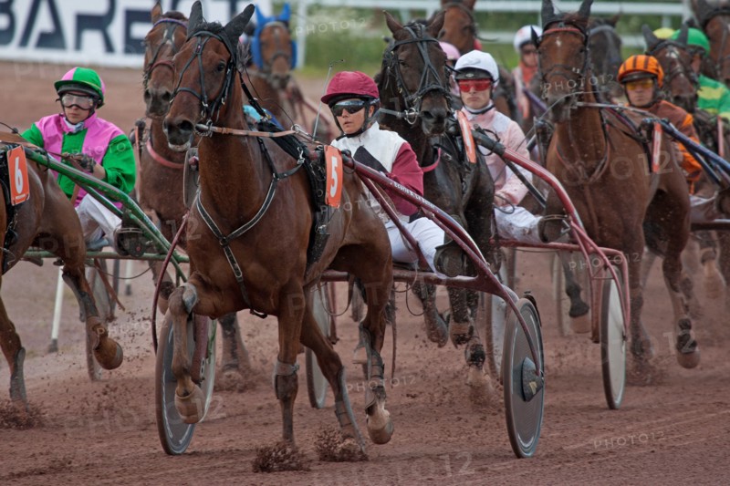 Lisieux, Hippodrome de la Trésorerie