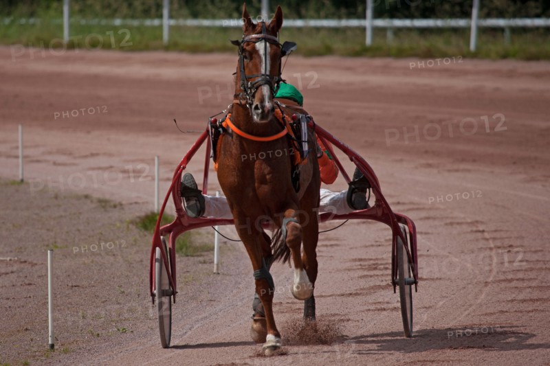 Lisieux, Hippodrome de la Trésorerie