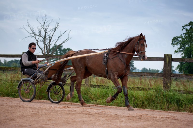 Haras De Pitz, Ecurie Danover