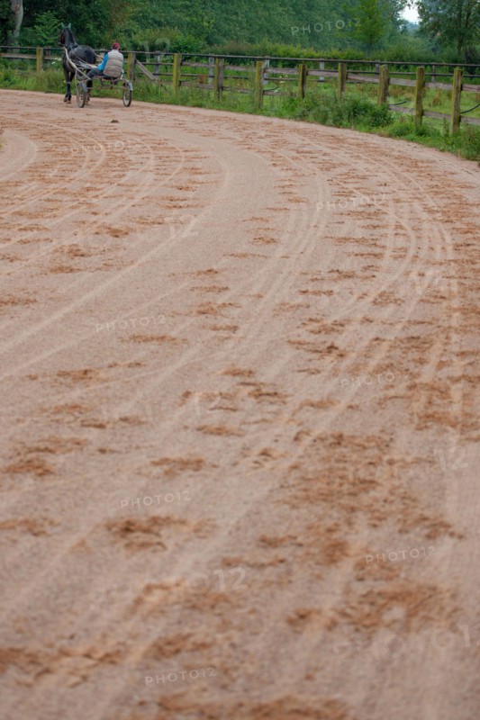 Haras De Pitz, Ecurie Danover
