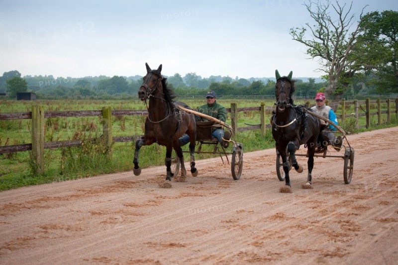 Haras De Pitz, Ecurie Danover