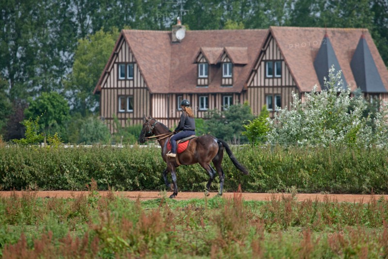 Haras De Pitz, Ecurie Danover
