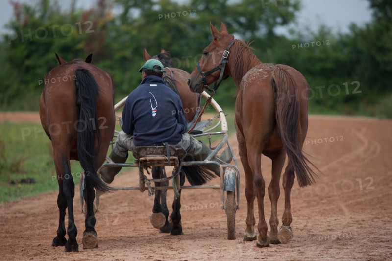 Haras De Pitz, Ecurie Danover
