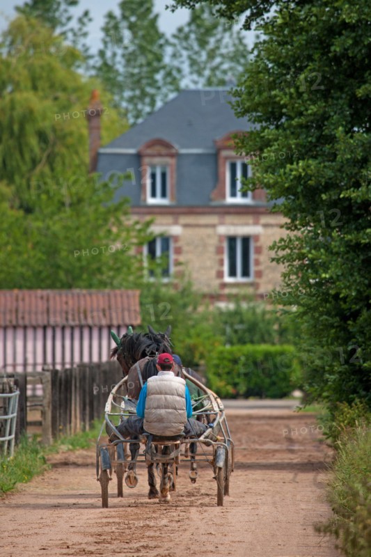 Haras De Pitz, Ecurie Danover