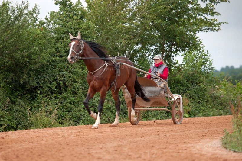 Haras De Pitz, Ecurie Danover