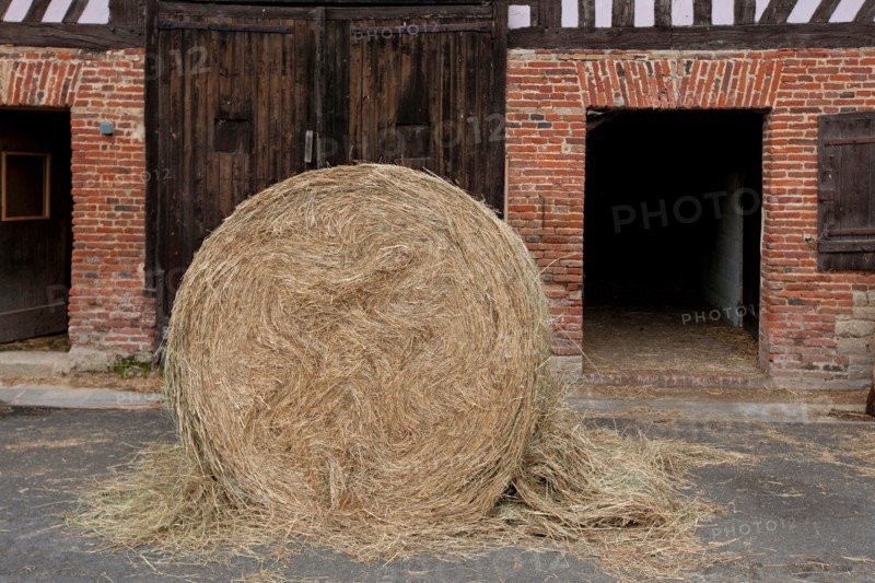 Haras De Pitz, Ecurie Danover