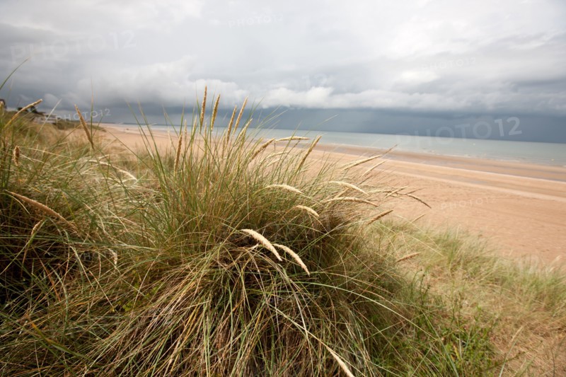 Pays D'Auge, Plage De Merville Franceville