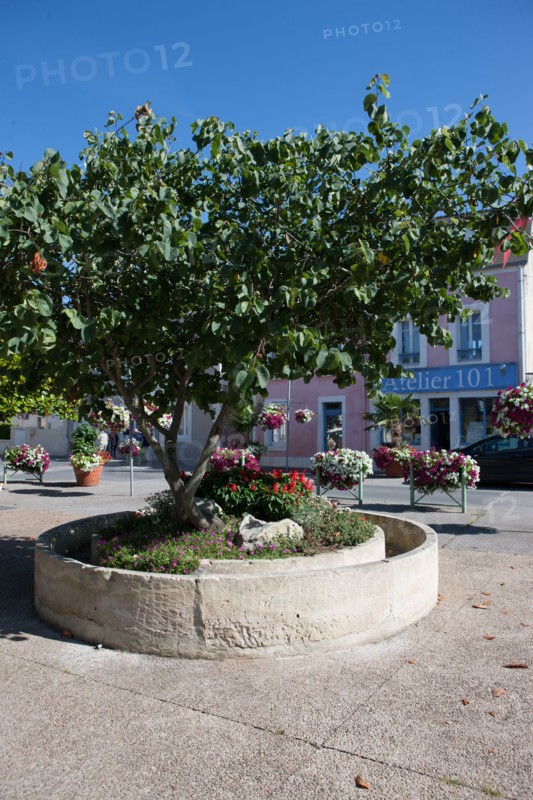 Bessin, Plages Du Debarquement