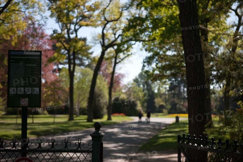 Bois De Boulogne, Paris